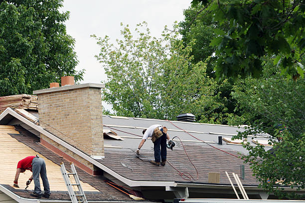 Best Storm Damage Roof Repair  in Elk River, MN